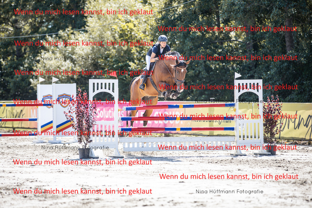 BK1A6389 | Turnierbilder Turnierfotos Nina Hüffmann Turnierfotografie Pferdefotografie Tierzeichnung Haustierzeichnung Pferdezeichnung Hundezeichnung Videograf  - Realisiert mit Pictrs.com