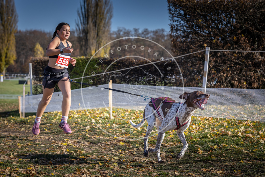 CaniXpix_DV3A8638 | Hundefotografie, Tierfotograf, Pfotenfotografie, Fotoshooting Hund, Hunde Portrait, Hundesport, Hundeportraits, Heideshooting, Hunde, Sportfotograf, Hundefotograf, Turnierhundsport, THS,  - Realisiert mit Pictrs.com