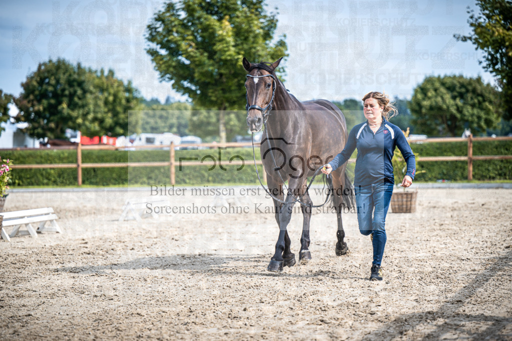 DOS_1009 | Entdecke hochwertige Reitturnierfotos von Foto Oger. Professionell, emotional und authentisch – jetzt Lieblingsmomente im Shop bestellen.Deutschlandweite Turnierfotografie. - Realisiert mit Pictrs.com