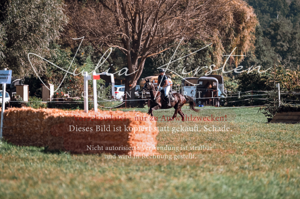 DSC_0590 | Pferde- und Turnierfotografie in Westsachsen. Pferdeportraits, Auftragszeichnungen und intuitive Kunst.