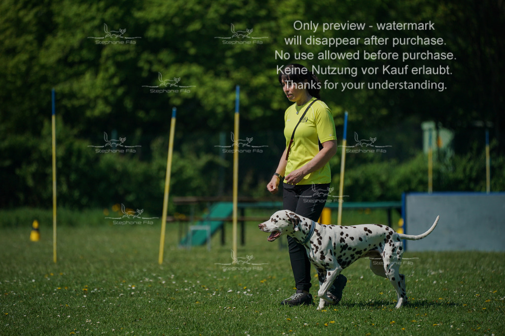 Sa_Gehorsam_Vormittag-128 | stephaniefillaphotographie - Realisiert mit Pictrs.com