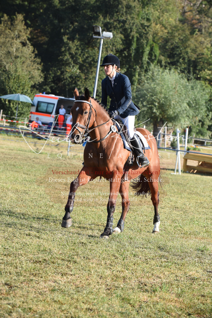 DSC_5021 | Pferde- und Turnierfotografie in Westsachsen. Pferdeportraits, Auftragszeichnungen und intuitive Kunst.
