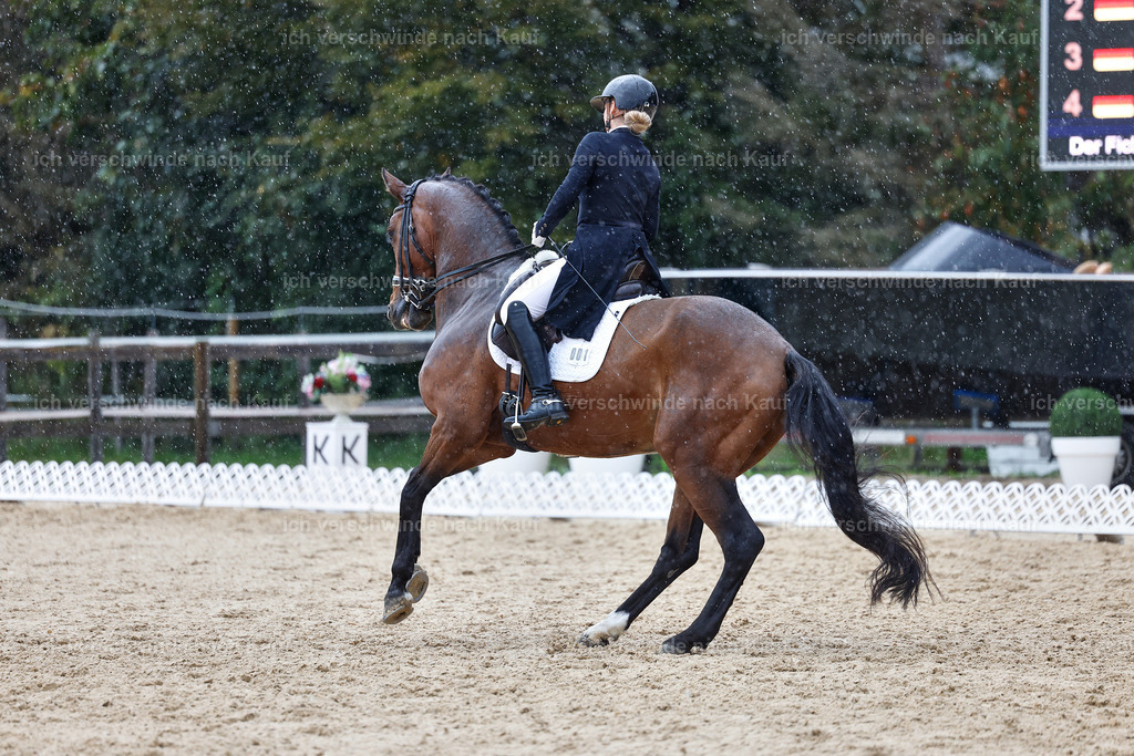 8_1-001-Klasse S_  -StoibPH-3971 | working equitationturnier fotograf videograf stoibphotography marixx film working equitation deutschland reitsport turnierfotografie eventfotografie equestrian events
