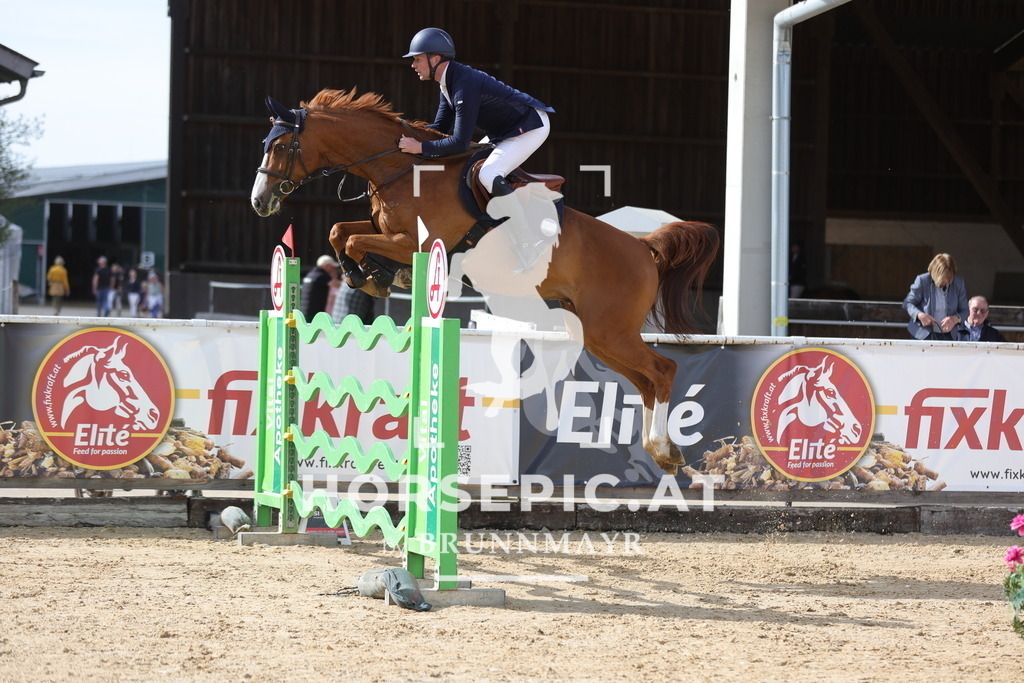 0P6A9867 | Willkommen bei Brunnmayr - Design & Fotografie – Ihrem Spezialisten für Reitturniere und Pferdeveranstaltungen in Oberösterreich, Salzburg und Bayern! Seit über 17 Jahren sind wir leidenschaftlich dabei.