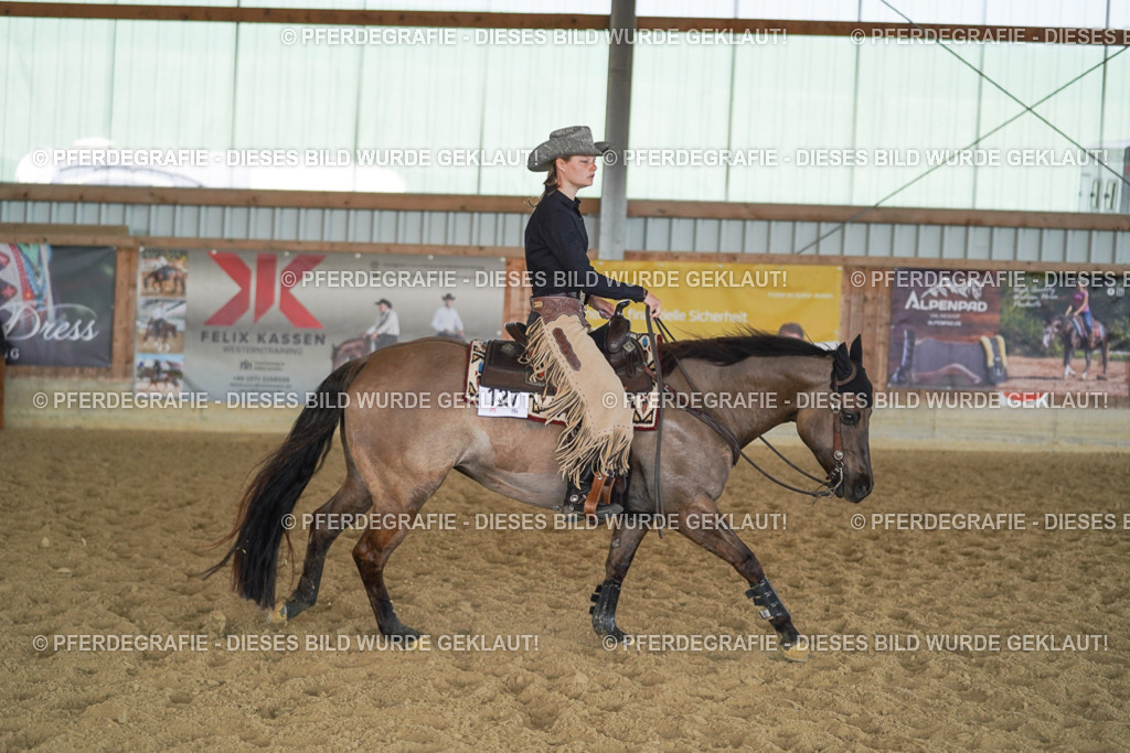 DSC00388 | Pferdegrafie