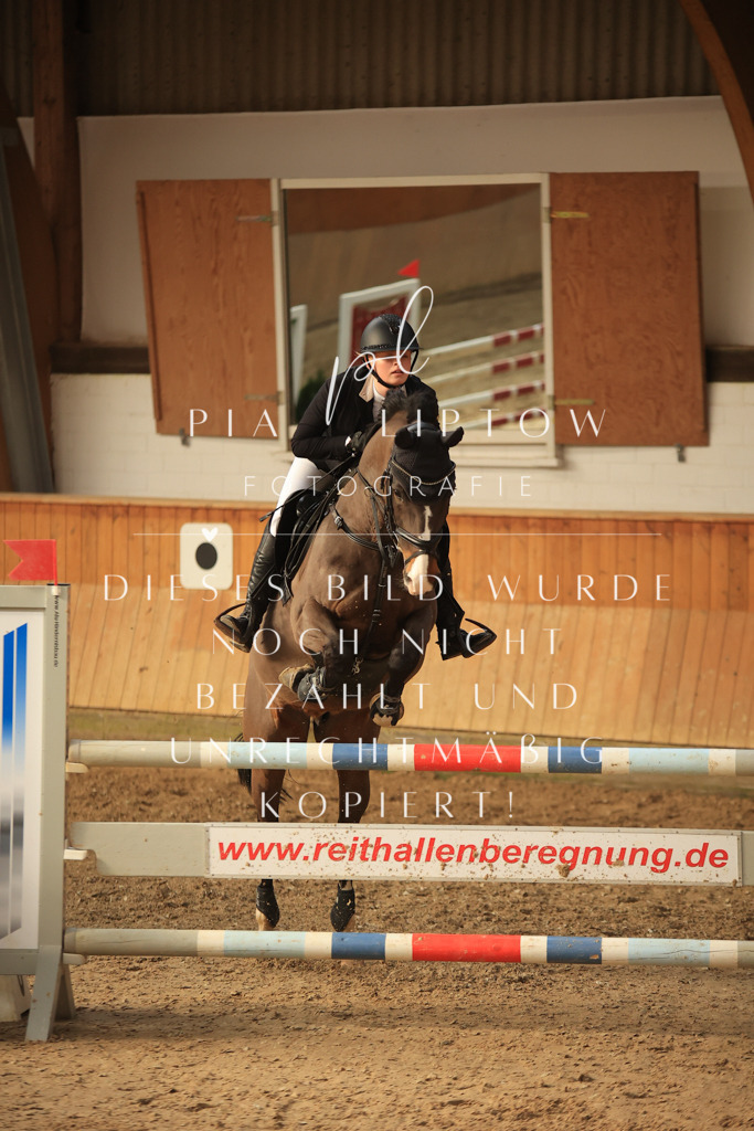 IMGT6441 | pl-fotografie