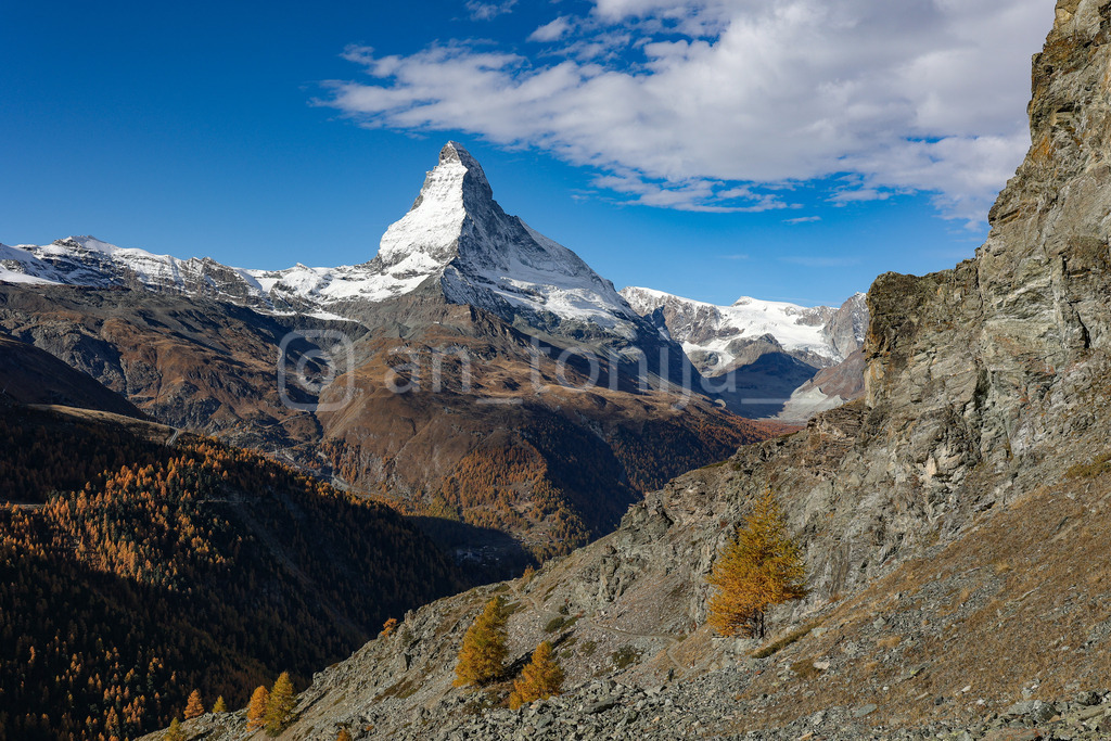 A.Trupina-185 | antonija-trupina - Realisiert mit Pictrs.com