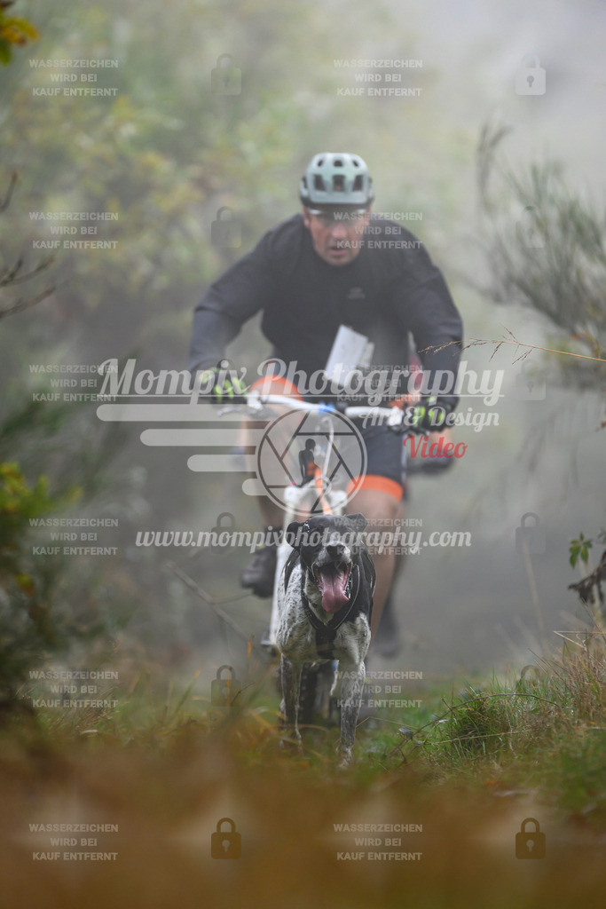 MompixPhotography_20TSB_E4_Bike-121 | PayLife
