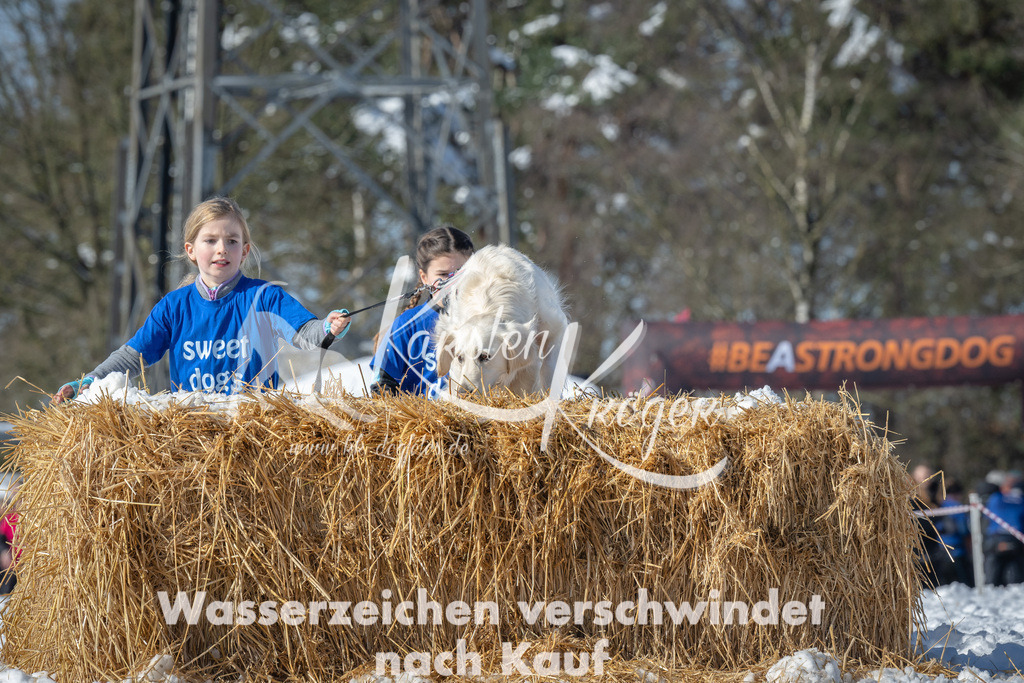 1144_ZZ90869-4 | kk-dogfotos