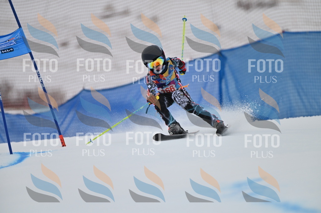 BGV_0367 | holidayphoto