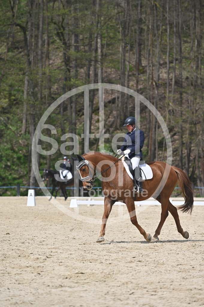 DSC_2916 | sattelsport - Realisiert mit Pictrs.com