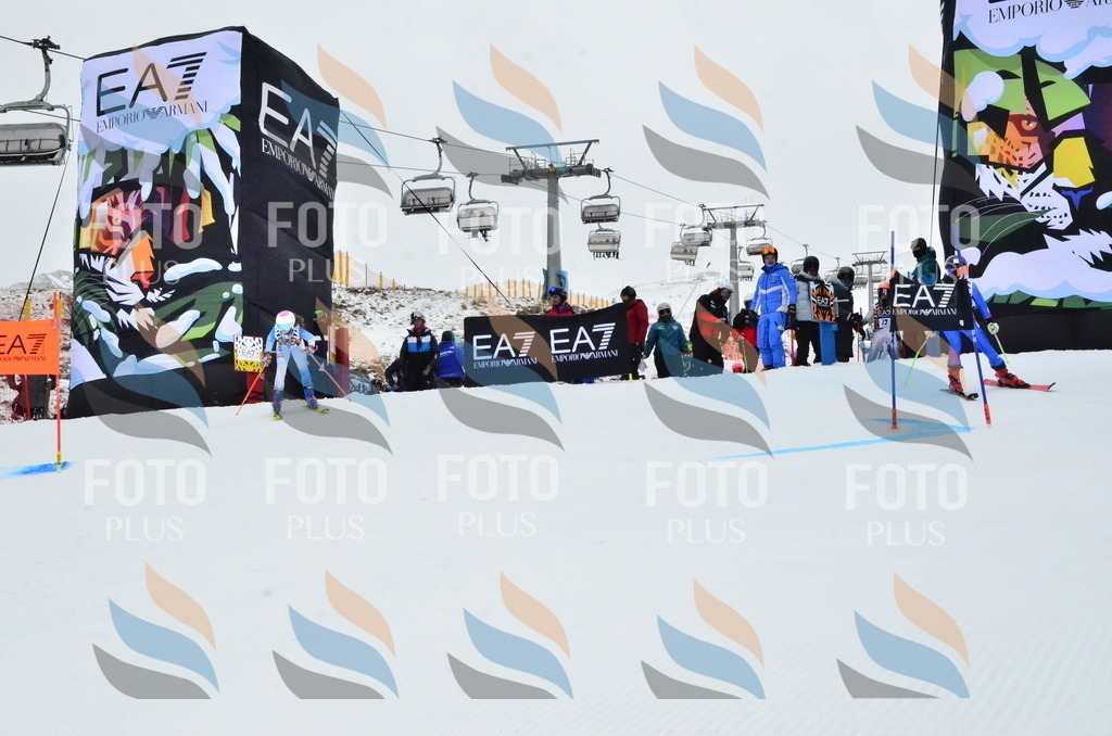 _ELE3167 | holidayphoto