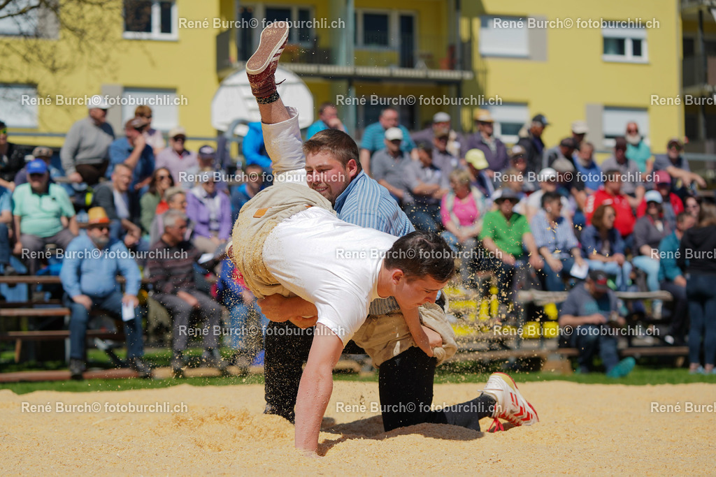 20220418-DSC07289 | René Burch leidenschaftlicher Fotograf aus Kerns in Obwalden.  Hier finden sie Sport, Landschaft und Natur Fotografie.
 - Realisiert mit Pictrs.com