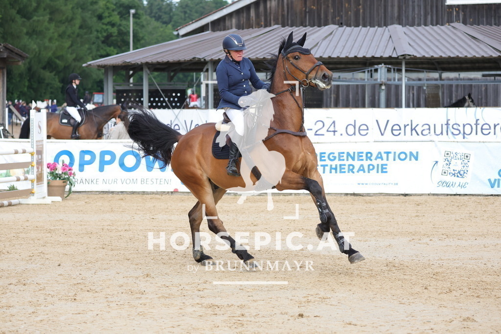 0P6A5949 | Willkommen bei Brunnmayr - Design & Fotografie – Ihrem Spezialisten für Reitturniere und Pferdeveranstaltungen in Oberösterreich, Salzburg und Bayern! Seit über 17 Jahren sind wir leidenschaftlich dabei.
