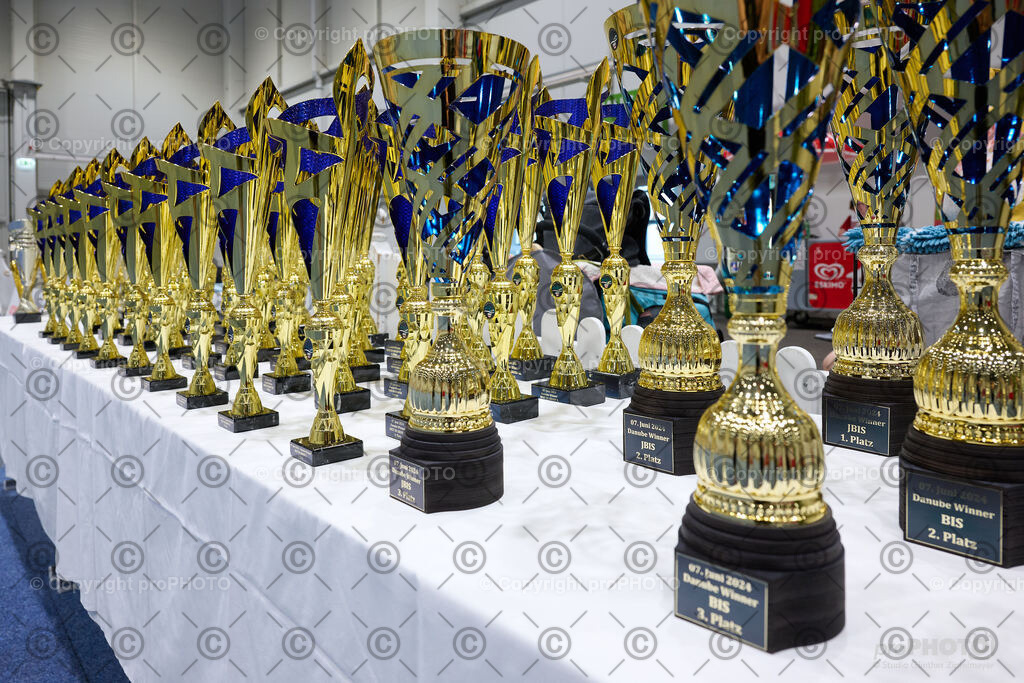 202406_ÖKV-IHA-Tulln24_NZ9_7671 | proPHOTO - Realisiert mit Pictrs.com