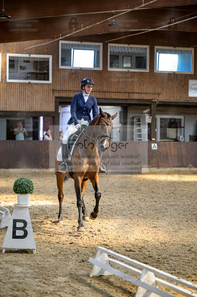 Reitturnier Voxtrup | Entdecke hochwertige Reitturnierfotos von Foto Oger. Professionell, emotional und authentisch – jetzt Lieblingsmomente im Shop bestellen. - Realisiert mit Pictrs.com