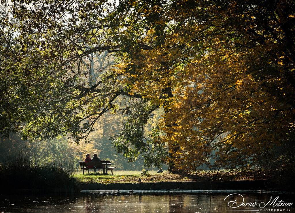 Der Schlosspark in Wiesbaden Biebrich | Der Schlosspark in Wiesbaden Biebrich