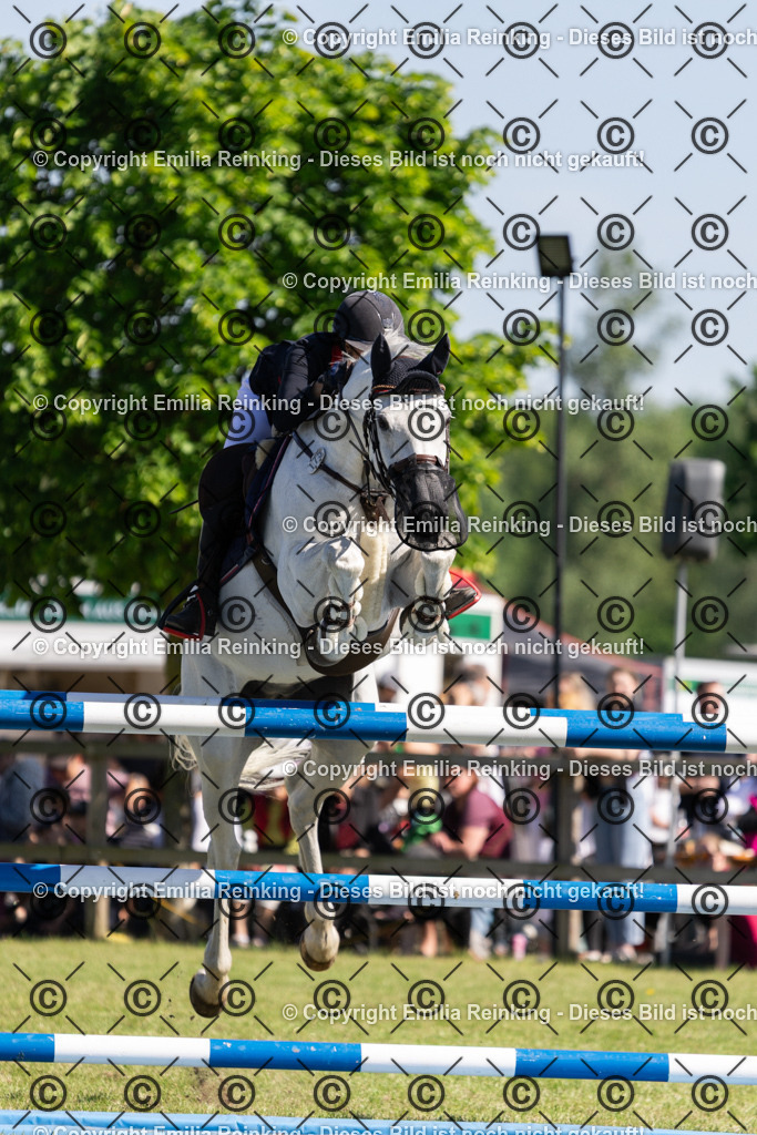 CL5A1387 | Emilia Reinking Fotografie - Realisiert mit Pictrs.com