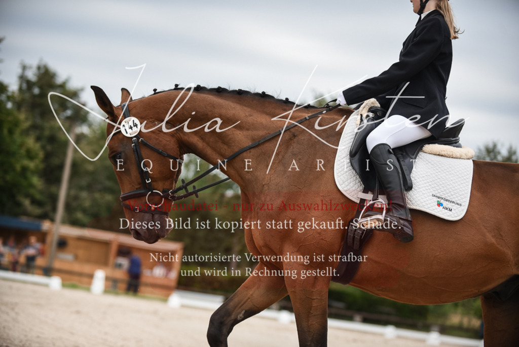 DSC_8023 | Pferde- und Turnierfotografie in Westsachsen. Pferdeportraits, Auftragszeichnungen und intuitive Kunst.