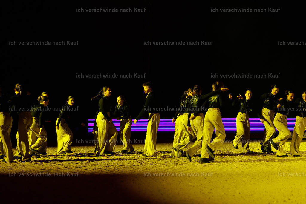 FHClassics-158 | working equitationturnier fotograf videograf stoibphotography marixx film working equitation deutschland reitsport turnierfotografie eventfotografie equestrian events