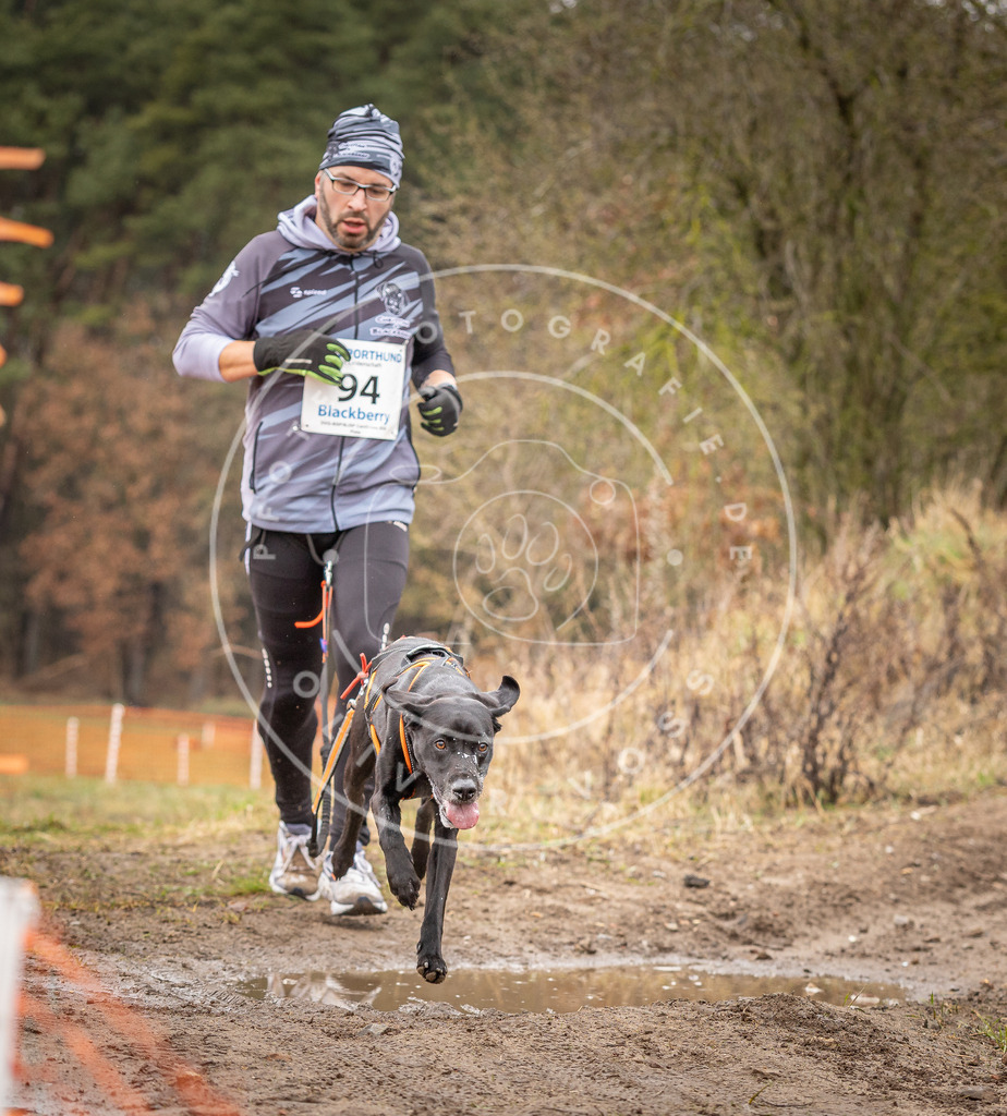 DV3A0512 | Hundefotografie, Tierfotograf, Pfotenfotografie, Fotoshooting Hund, Hunde Portrait, Hundesport, Hundeportraits, Heideshooting, Hunde, Sportfotograf, Hundefotograf, Turnierhundsport, THS,  - Realisiert mit Pictrs.com