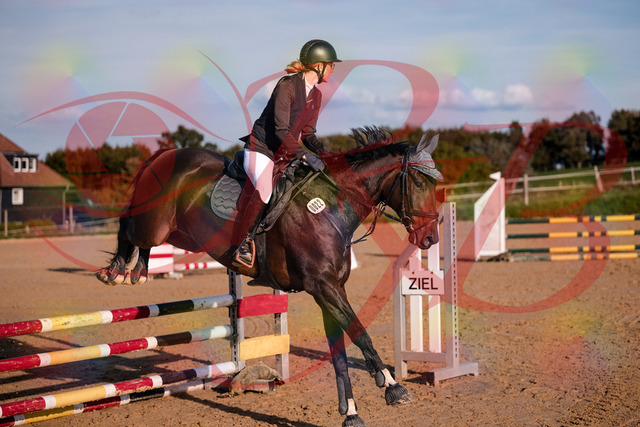 2026_10_03_Siefer-Hof_171843_Z81_16498589 | Professionelle Reitsport-, Turnier- und Eventfotografie von Robert Broda. Galerien mit ausgewählten und bearbeiteten Bildern direkt online ansehen und bestellen.