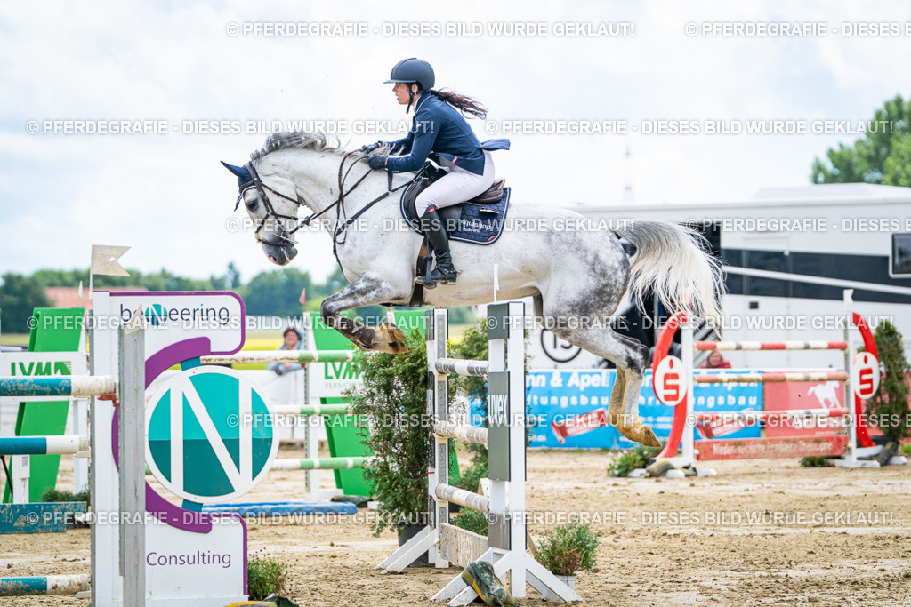 DSC05345 | Pferdegrafie