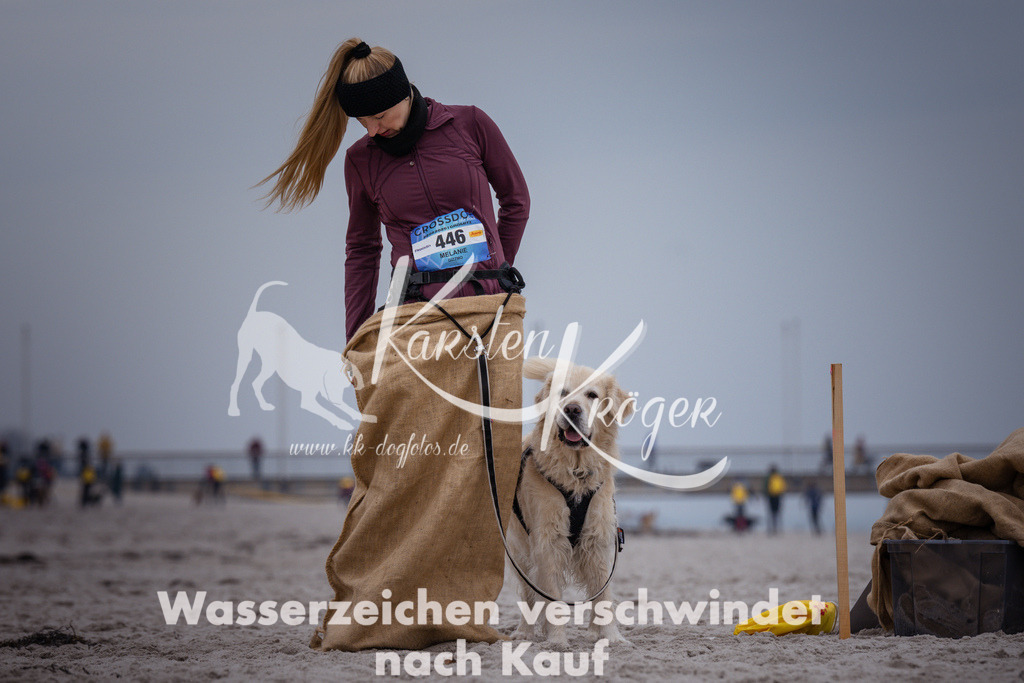1226_ZZ94129 | kk-dogfotos