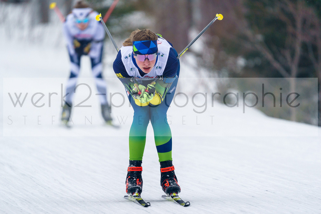 DSC Arber | Bayerischer Wald am 9. bis 12. Februar 2023
