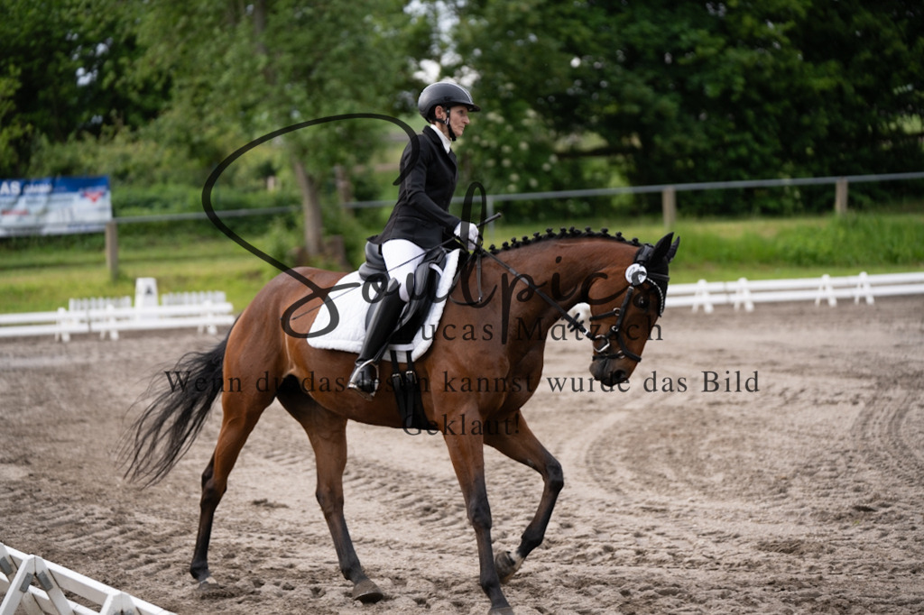 A7V03704 | Pferdefotograf