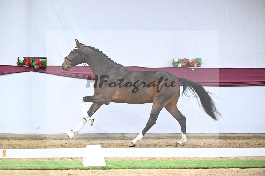 Kat-Nr. 124 Global Player x Floriscount_Christian Wittlinger_47254151 | hf-fotografie - Realisiert mit Pictrs.com