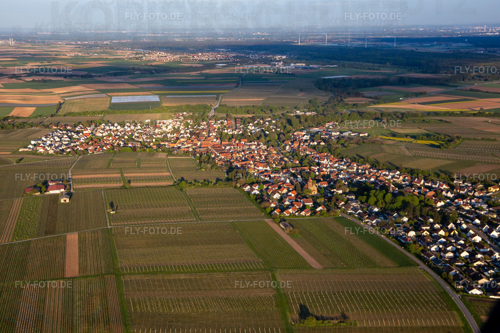Ortsansicht von Nordwesten | Luftbild: Ortsansicht von Nordwesten in Insheim im Bundesland Rheinland-Pfalz in Deutschland. Foto: IMG_140338.jpg vom 23.04.2024 durch ©2025 Werner Riehm fly-foto.de/copyright - Realisiert mit Pictrs.com