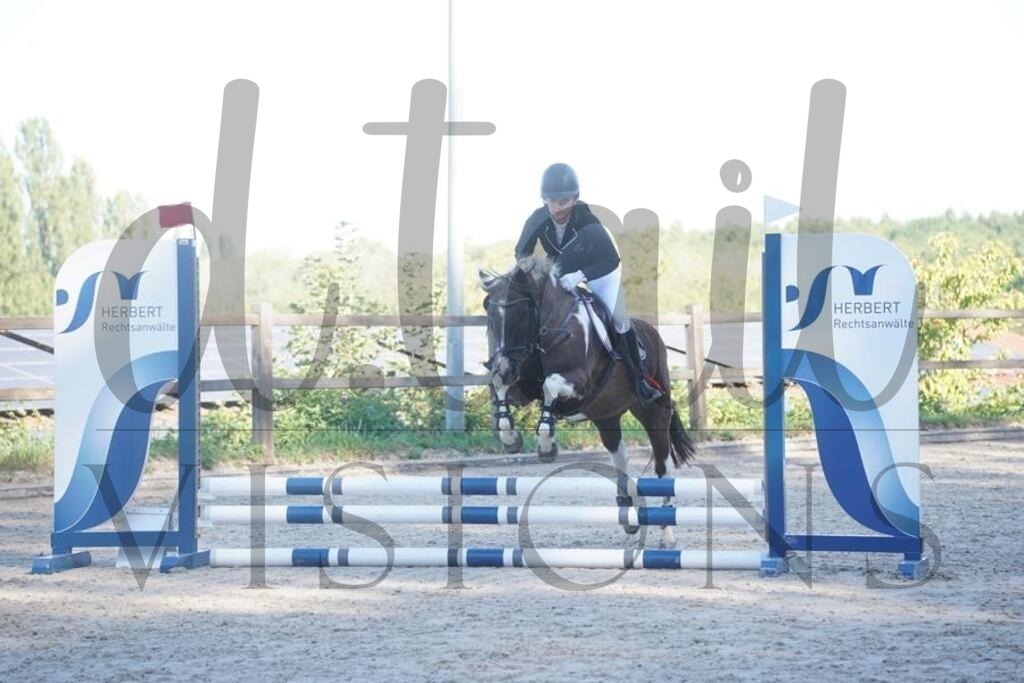 tgbhsonntag (69) | d.tail Visions - Shop - Realisiert mit Pictrs.com