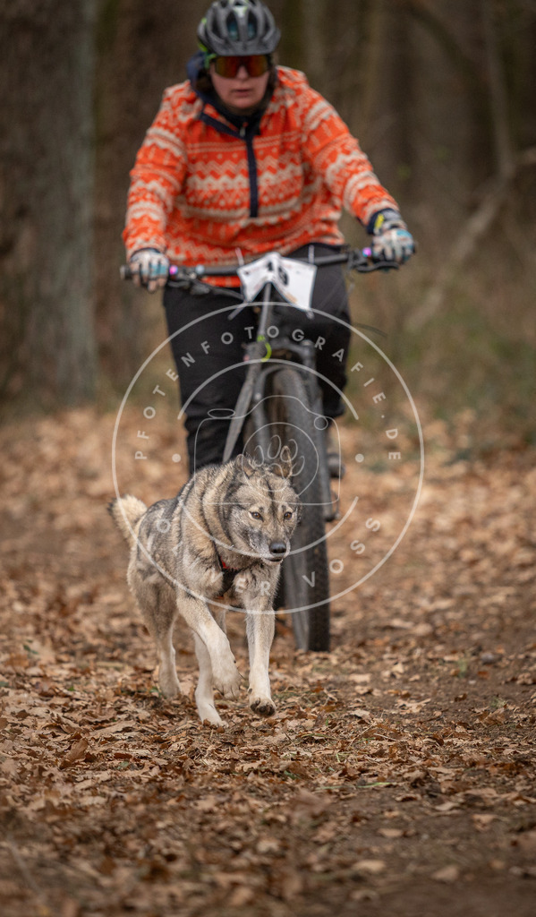 Pfotenfotografie_DV3A7128 | Hundefotografie, Tierfotograf, Pfotenfotografie, Fotoshooting Hund, Hunde Portrait, Hundesport, Hundeportraits, Heideshooting, Hunde, Sportfotograf, Hundefotograf, Turnierhundsport, THS,  - Realisiert mit Pictrs.com