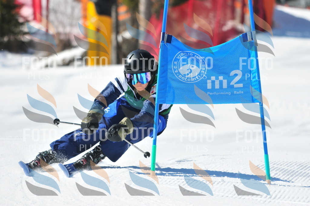 C4151 | holidayphoto