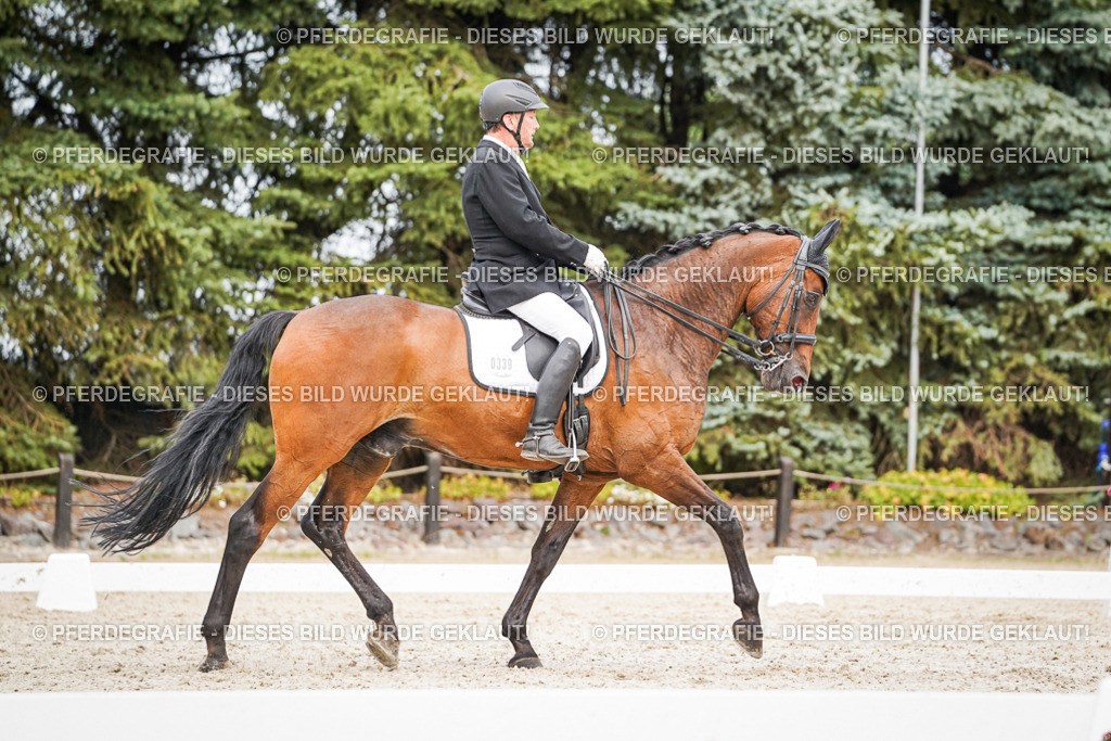 DSC07146 | Pferdegrafie