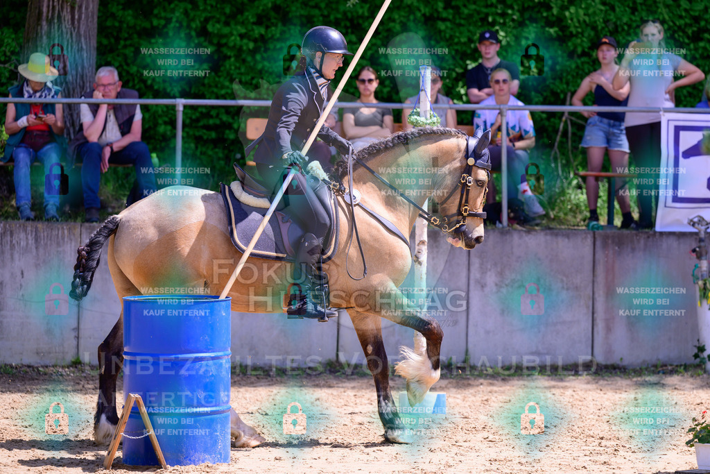 03052026-Giesenbach-05-Stiltrail-0057 | Fokus Hufschlag Fotografie - Realisiert mit Pictrs.com