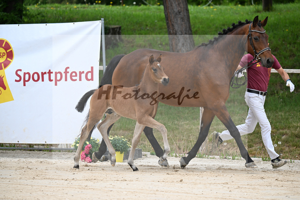Kat-Nr. 27 HF Bonds in Gold x Dantano_Lechl_24260385 | hf-fotografie - Realizzato con Pictrs.com