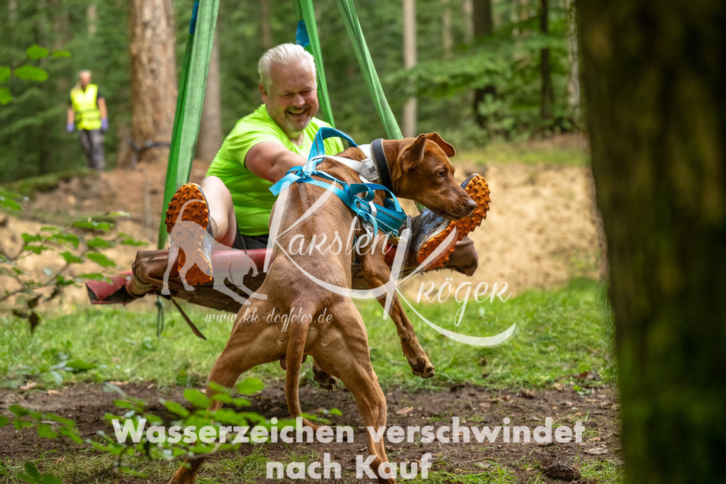 1330_ZZ93101-Bearbeitet | kk-dogfotos
