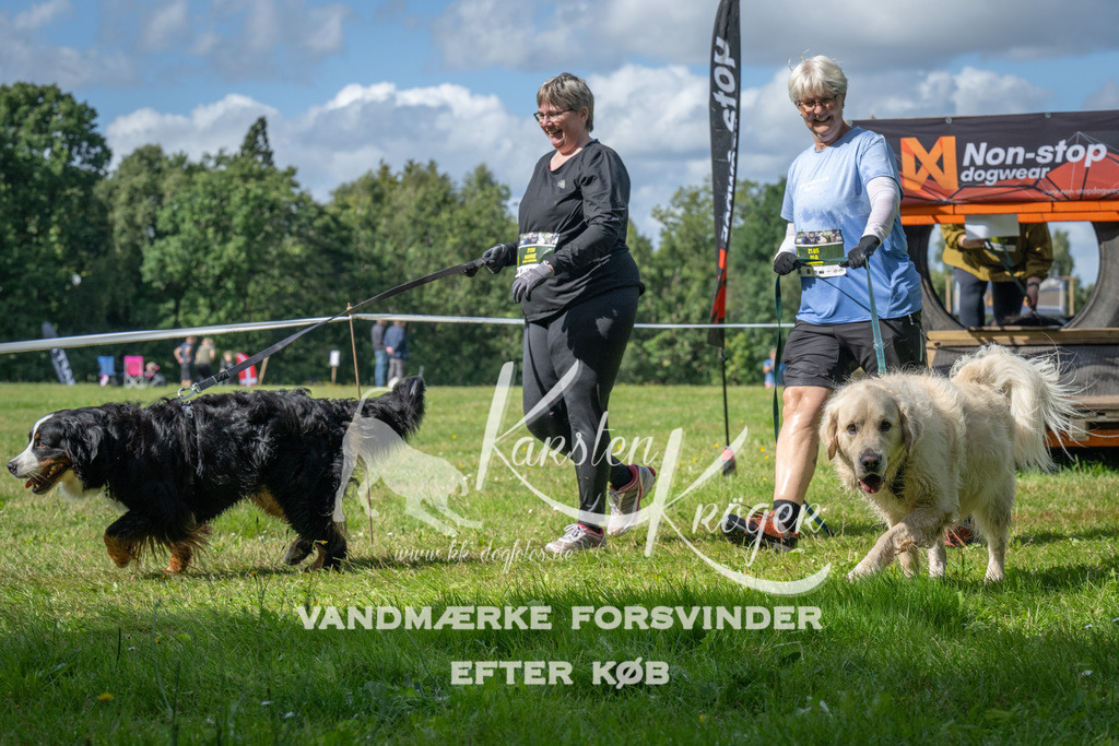 1549_ZZ94328 | kk-dogfotos