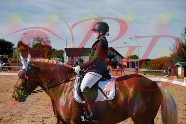 2026_10_03_Siefer-Hof_130226_Z63_64028602 | Professionelle Reitsport-, Turnier- und Eventfotografie von Robert Broda. Galerien mit ausgewählten und bearbeiteten Bildern direkt online ansehen und bestellen.