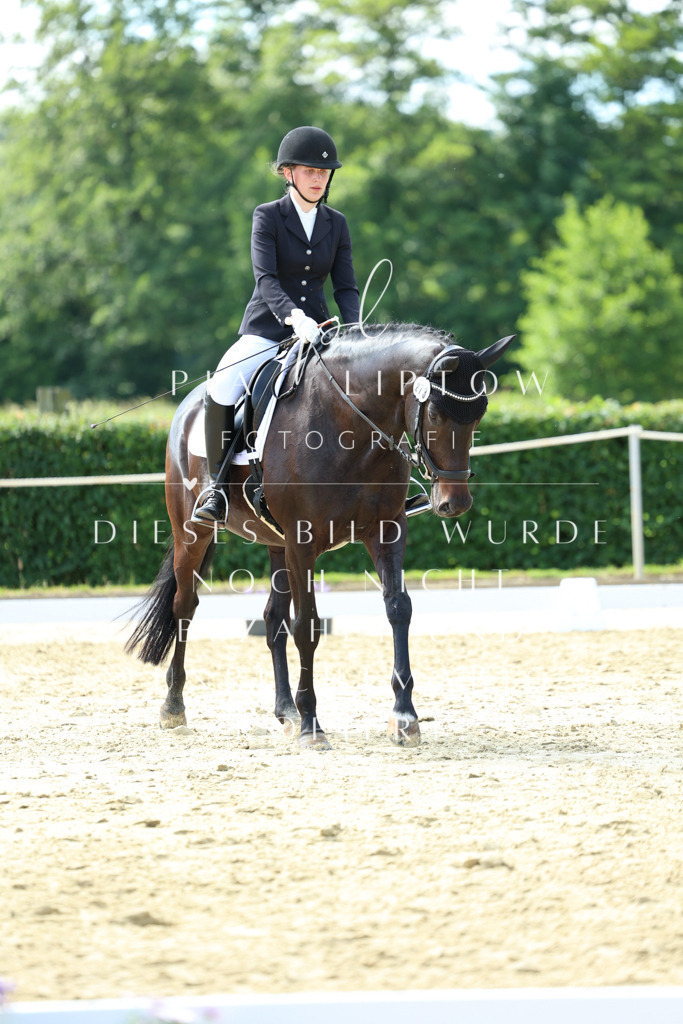 IMGM4112 | pl-fotografie