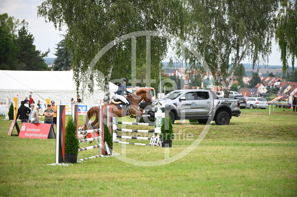 DSC_1280 | sattelsport - Realisiert mit Pictrs.com