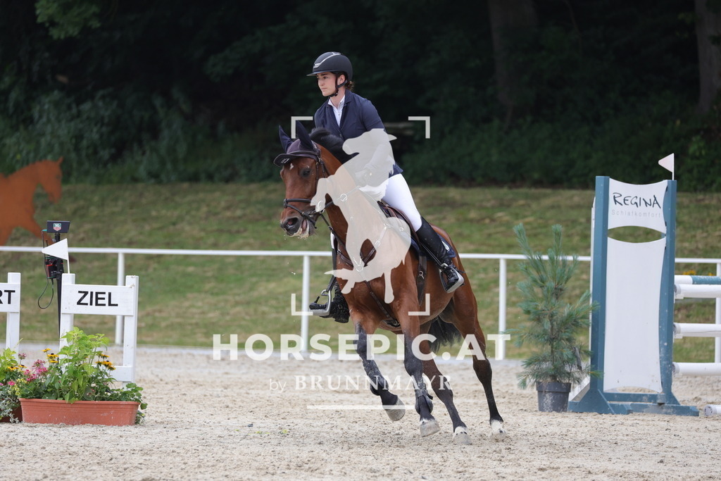0P6A4453 | Willkommen bei Brunnmayr - Design & Fotografie – Ihrem Spezialisten für Reitturniere und Pferdeveranstaltungen in Oberösterreich, Salzburg und Bayern! Seit über 17 Jahren sind wir leidenschaftlich dabei.