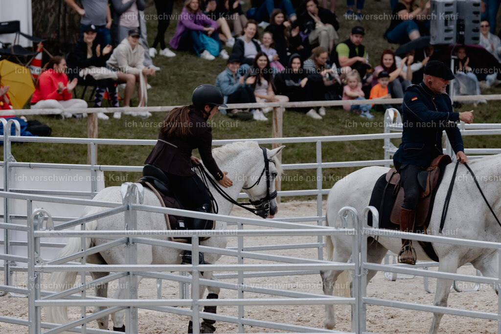 WE__Stoib_Rinder_PI2025_3190 | Pferd International München 2025