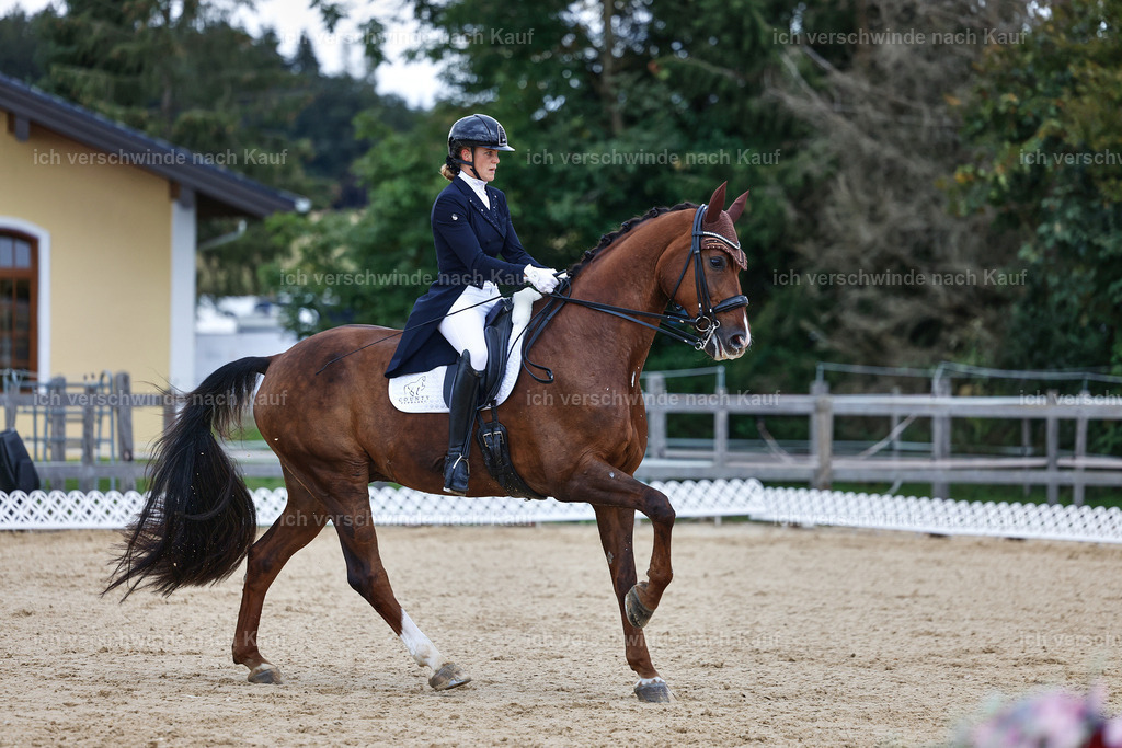 8_1-085-Klasse S_  -StoibPH-3826 | working equitationturnier fotograf videograf stoibphotography marixx film working equitation deutschland reitsport turnierfotografie eventfotografie equestrian events
