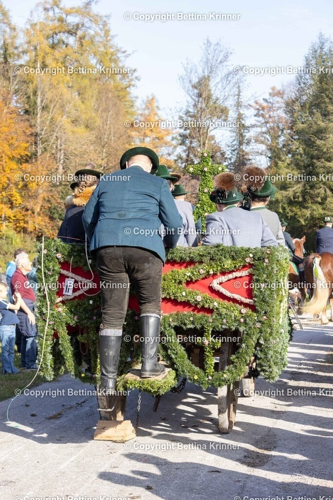 LBT24-1190 | foto-bettina-krinner - Realisiert mit Pictrs.com
