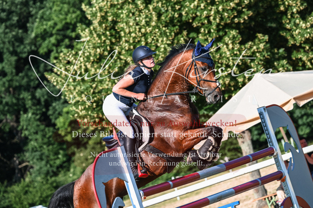 DSC_2909 | Pferde- und Turnierfotografie in Westsachsen. Pferdeportraits, Auftragszeichnungen und intuitive Kunst.