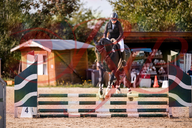 2026_10_03_Siefer-Hof_154324_Z81_61380204 | Professionelle Reitsport-, Turnier- und Eventfotografie von Robert Broda. Galerien mit ausgewählten und bearbeiteten Bildern direkt online ansehen und bestellen.