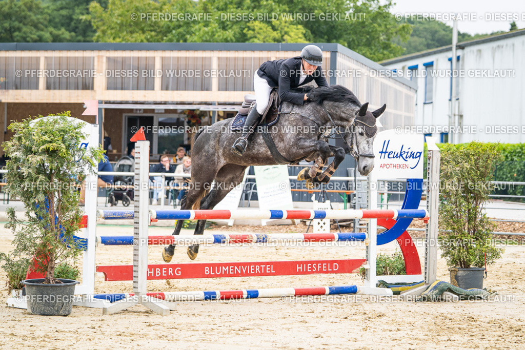 DSC09976 | Pferdegrafie